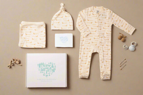 Make Way for Ducklings Boston-themed baby gift set